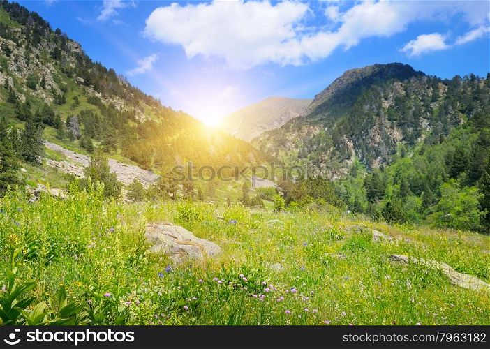 mountains, alpine meadows and sunrise
