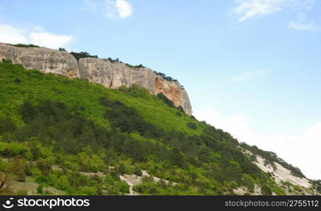 Mountains and forest. Crimean mountains covered dense forest