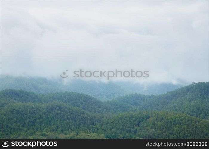 Mountains and forests are cloud covered. After the rain