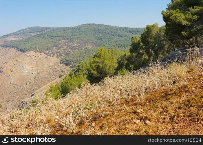 Mountains and forests in the north of Israel, in Galilee