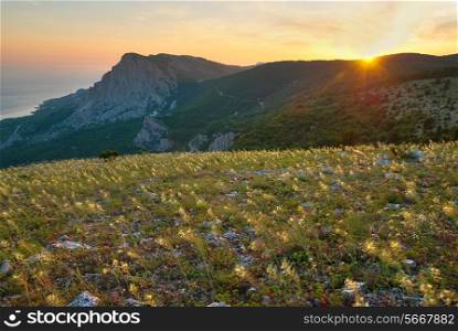 Mountains and the field of yellow flowers. Sunset.