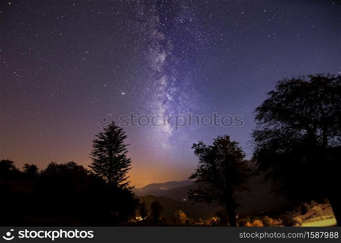 Mountains and the Milky Way visible through the forest