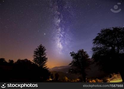 Mountains and the Milky Way visible through the forest