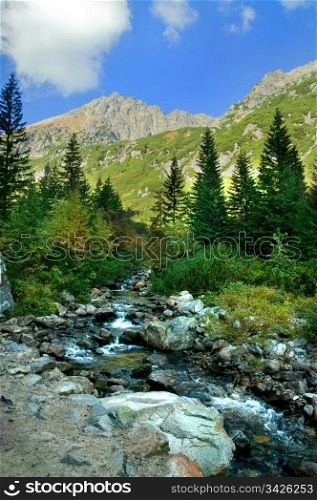 Mountains colorful landscape. Virgin forest in Tatra mountains
