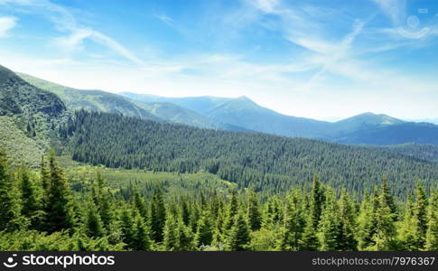 mountains covered trees and blue sky