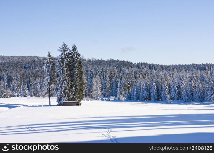 mountains covered with fresh powder snow