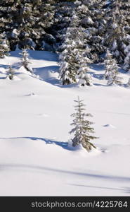 mountains covered with fresh powder snow