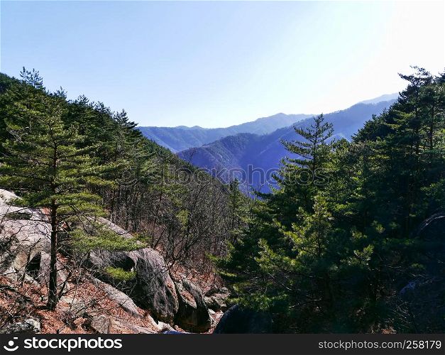 Mountains forest in Seoraksan National Park. South Korea