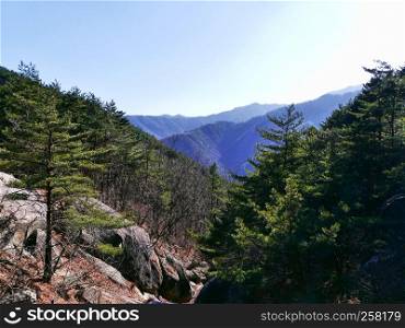 Mountains forest in Seoraksan National Park. South Korea