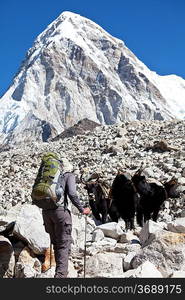 Mountains Himalaya