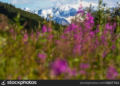 Mountains in Alaska