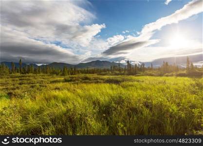 Mountains in Alaska, United States