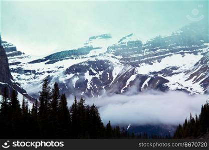Mountains in Canada. Picturesque mountain view in the Canadian Rockies in summer season
