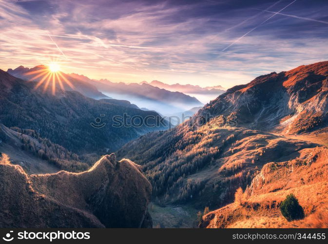 Mountains in fog at beautiful sunset in autumn. Dolomites, Italy. Landscape with alpine mountain valley, orange grass, low clouds, trees on hills, purple sky with clouds and gold sunlight. Travel