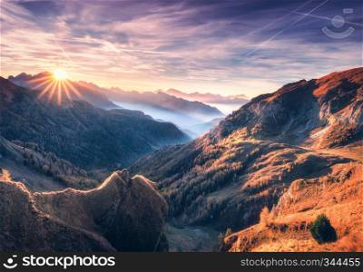 Mountains in fog at beautiful sunset in autumn. Dolomites, Italy. Landscape with alpine mountain valley, orange grass, low clouds, trees on hills, purple sky with clouds and gold sunlight. Travel
