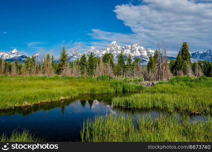 Mountains in Grand Teton National Park with reflection in Snake River. Grand Teton Mountains from Schwabacher&rsquo;s Landing on the Snake River at morning. Grand Teton National Park, Wyoming, USA.