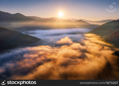 Mountains in low clouds at sunrise in autumn. Aerial view of mountain peak in fog in fall. Beautiful landscape with rocks, forest, sun, colorful sky. Top view of mountain valley in clouds. Foggy hills