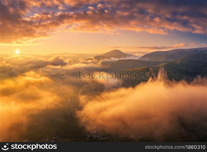 Mountains in low clouds at sunrise in summer. Aerial view of mountain peak in fog. Beautiful landscape with high rocks, forest, colorful sky. View from above of mountain valley in clouds. Foggy hills