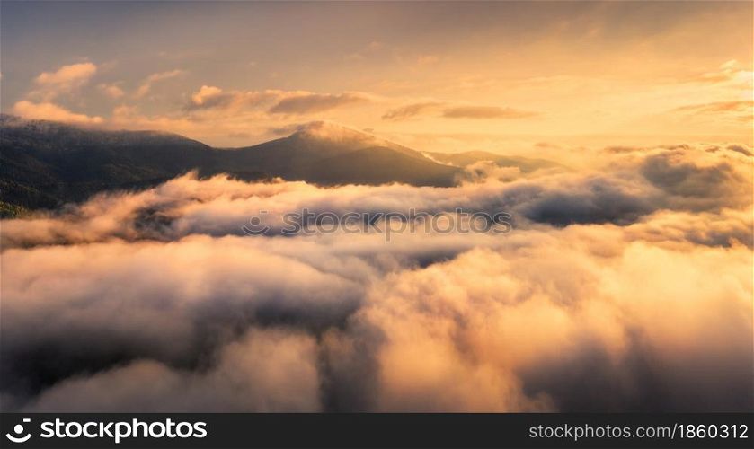Mountains in low clouds at sunrise in summer. Aerial view of mountain peak in fog. Beautiful landscape with high rocks, forest, orange sky. View from above of mountain valley in clouds. Foggy hills