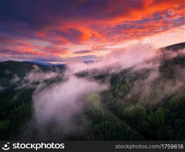 Mountains in low clouds at sunset in summer. Aerial view of mountain hills with green trees in fog and colorful sky with red clouds at dusk. Beautiful landscape. Top view of foggy woods. Nature