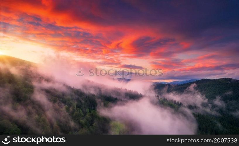Mountains in low clouds at sunset in summer. Aerial view of mountain hills with green trees in fog and colorful sky with red clouds at dusk. Beautiful landscape. Top view of foggy woods. Nature
