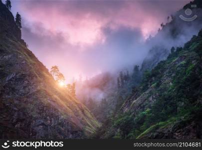 Mountains in low clouds at sunset in summer in Nepal. Aerial view of canyon, forest in fog, colorful sky with violet clouds, golden sunlight. Beautiful nature. Foggy hills, woods. Travel in Himalayas