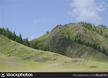mountains in Sibiria among a taiga in the summer