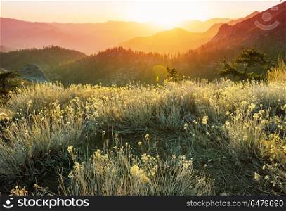Mountains in sunset. Scenic mountains at dawn time