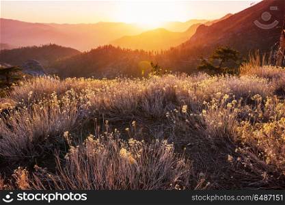 Mountains in sunset. Scenic mountains at dawn time