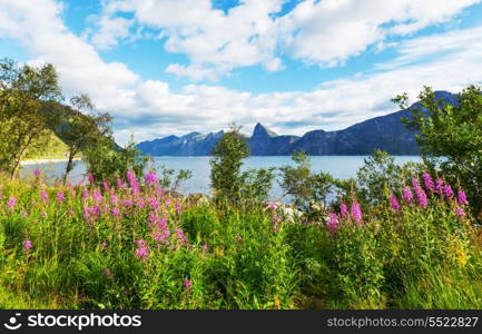 mountains lake