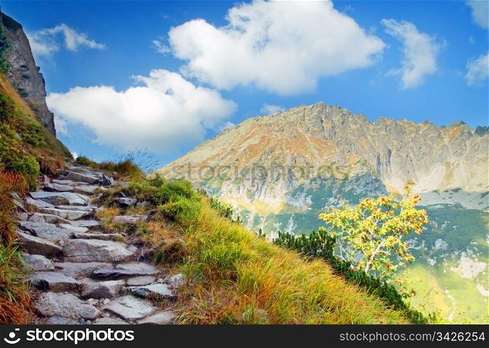 Mountains landscape. Tatra colorful picture