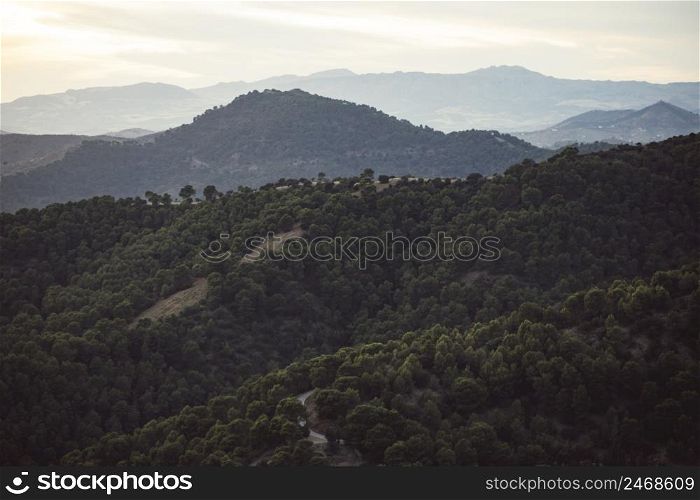 mountains landscape with forest filled with people