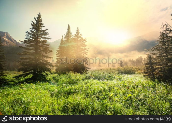 mountains meadow