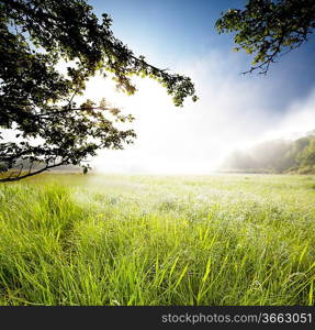 mountains meadow