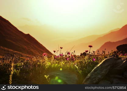 mountains meadow