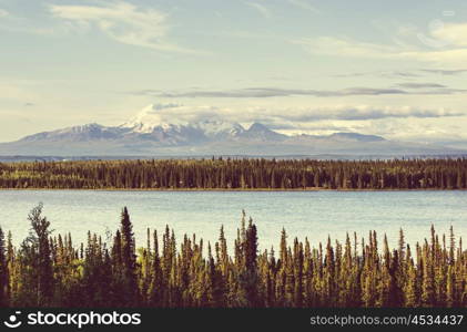 Mountains of Alaska in summer