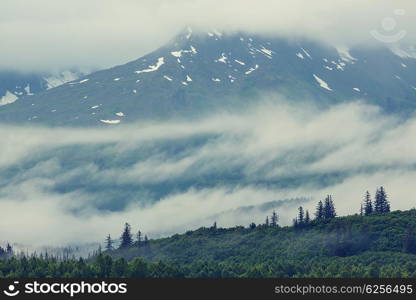 Mountains of Alaska in summer