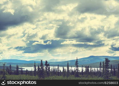 Mountains of Alaska in summer