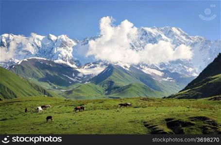 Mountains on blue cloudy sky background. Landscape