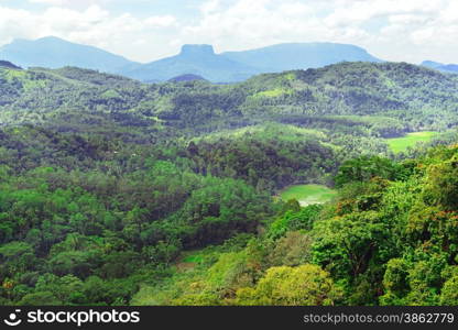 Mountains on island of Sri Lanka covered forest