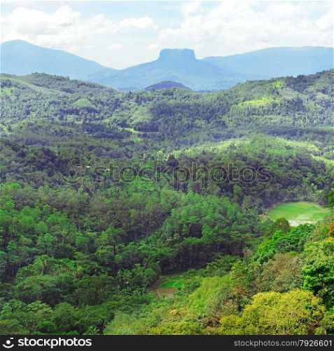 Mountains on island of Sri Lanka covered forest