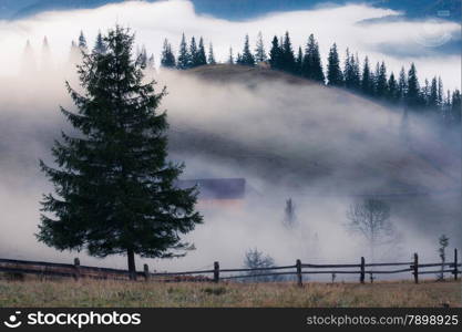Mountains rural landscape at foggy sunrise. Carpathian mountains, Ukraine