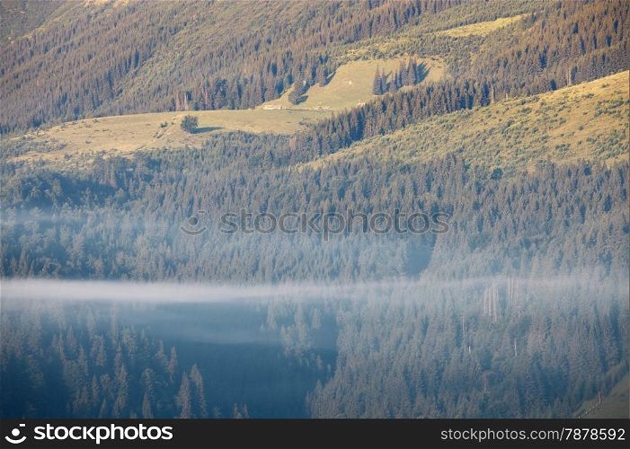 Mountains rural landscape at misty sunrise. Carpathian mountains, Ukraine