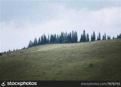 Mountains rural landscape at the rain. Carpathian mountains, Ukraine