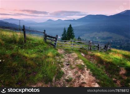 Mountains rural morning landscape. Carpathian mountains, Ukraine