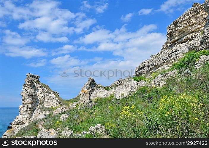 Mountains, spring wildflowers and sea against the blue sky. Spring landscape, Crimea