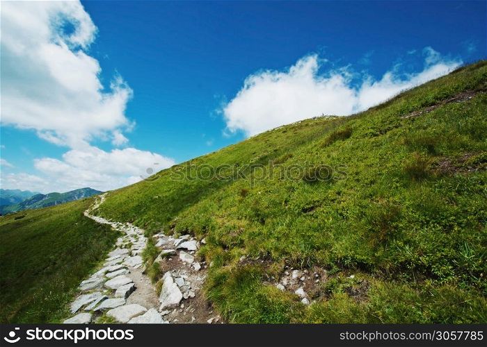 Mountains Summer Landscape. Mountains path and green grass.