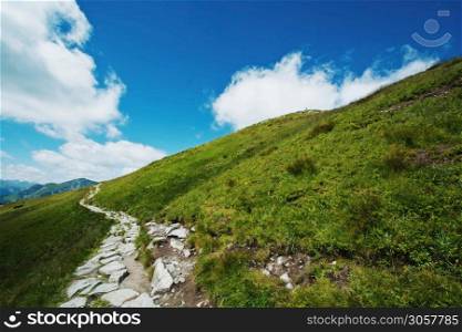 Mountains Summer Landscape. Mountains path and green grass.