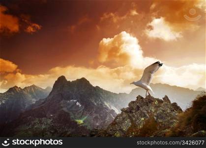 Mountains sunset landscape. Tatra colorful picture