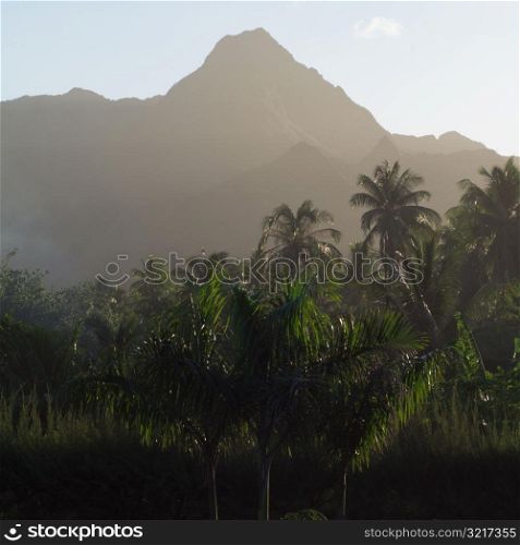 Mountains Terrain at Moorea in Tahiti